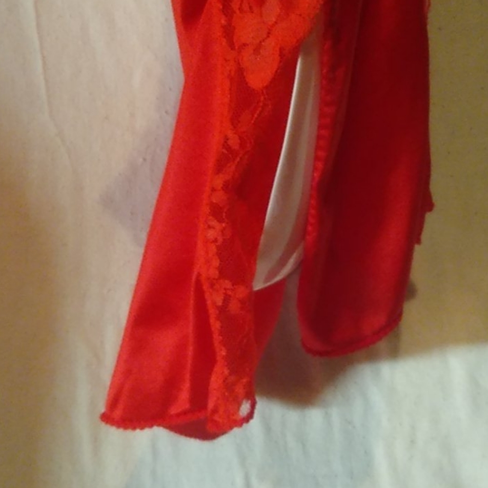 Negligee - Picture 4 of 11